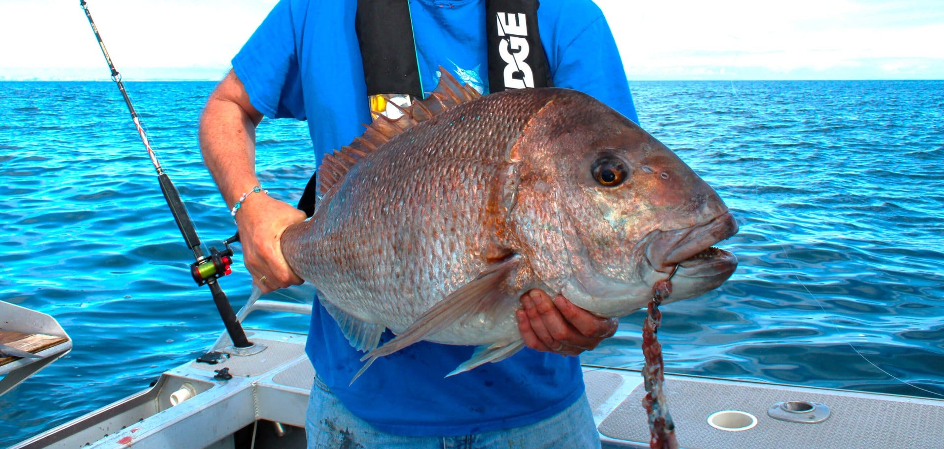 Big snapper straylining | Fishing | Burnsco | NZ