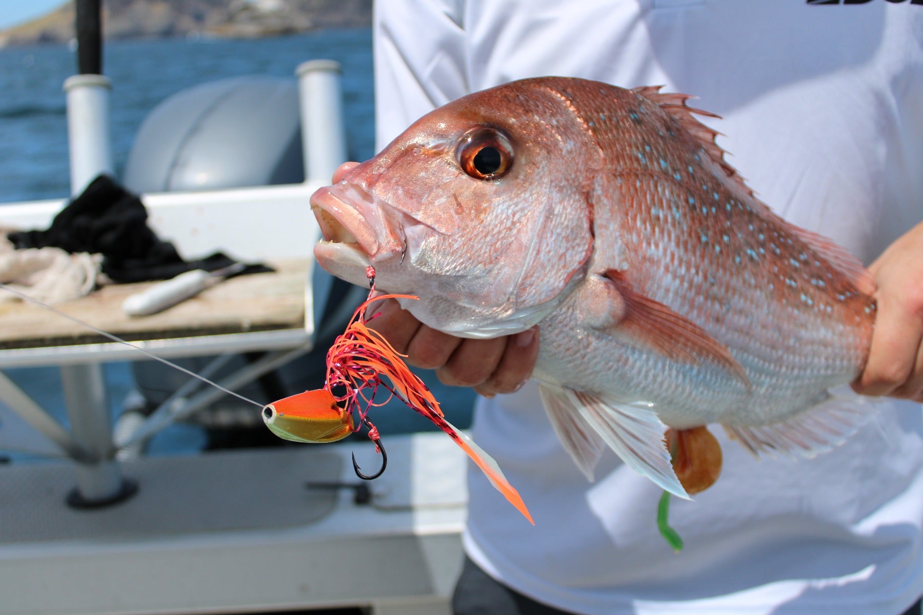 Fish caught with Edge Alien Jig