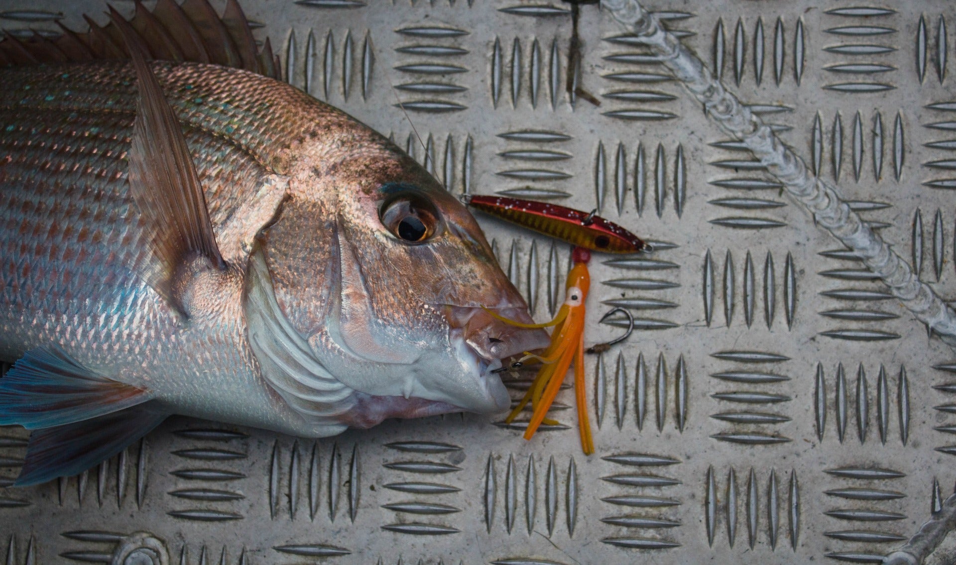 Snapper with Inchiku Jig